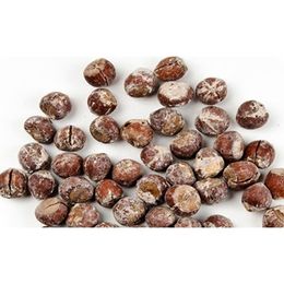 Gaziantep Pazarı 250 gr Kabuklu Tuzlu Fındık