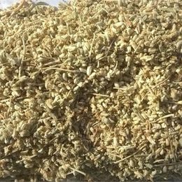 Gaziantep Pazarı 250 gr Peryavşan Otu