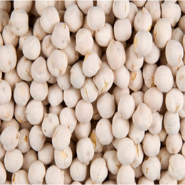 Gaziantep Pazarı 500 gr Avare Leblebi
