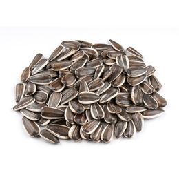 Gaziantep Pazarı 500 gr Dakota Çekirdeği
