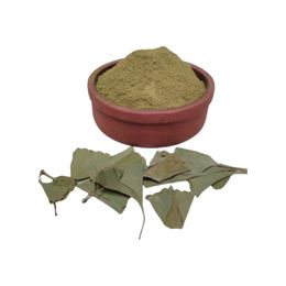 Gingko Biloba 50 gr Yaprak Tozu
