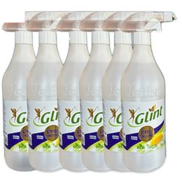 Glint 6x1 lt %100 Bitkisel Çok Amaçlı Efsane Genel Temizleyici
