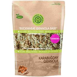 Glutensiz Fabrika 300 gr Yaban Mersinli Yulaf ve Karabuğday Granola