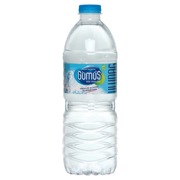 Gümüş Su 0,5 lt Su