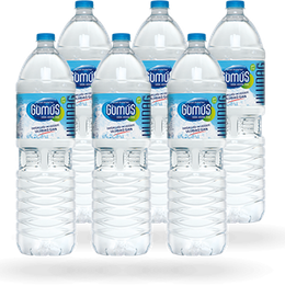 Gümüş Su 1.5LT SU