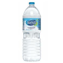 Gümüş Su 1.5LT SU