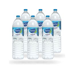 Gümüş Su 1.5LT SU