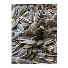 Gurme Market 500 gr Kavrulmuş Az Tuzlu Ay Çekirdeği