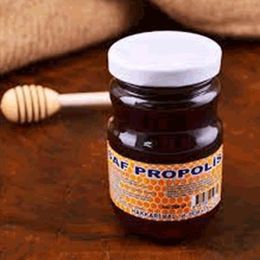 Gurmepark 250 gr Saf Propolis