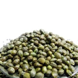 Gurmepark 500 gr Kavrulmuş Kenevir Tohumu
