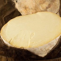Gurmepark Koyun Keçi 1 kg Ermenek Tulum Peyniri