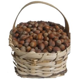 Güvenpro 1 kg Kabuklu Fındık