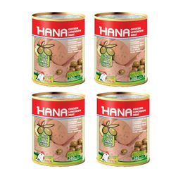 Hana 4x380 gr Zeytinli Salam