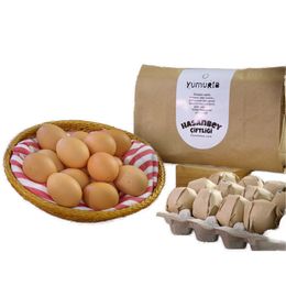 Hasanbey Çiftliği 15 Adet Doğal Köy Yumurtası