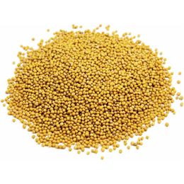 Hayfene 1 kg Sarı Hardal Tohumu