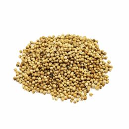 Hayfene 1 kg Tane Kişniş