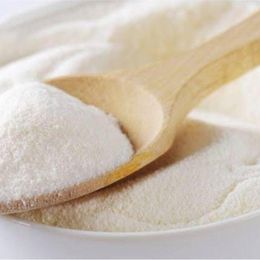 Hazal 250 gr Süt Tozu