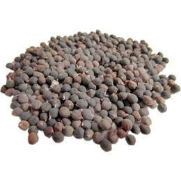 Hazal Baharat 1 kg Organik Dökme Bamya Tohumu