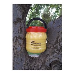 Hekimoğlu 1 kg Koyun Sadeyağ