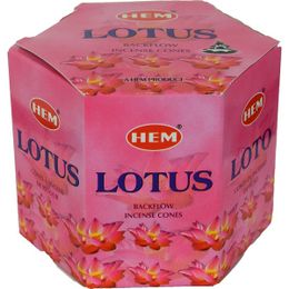 Hem Nilüfer Kokulu 40 Lotus Konik Tütsü