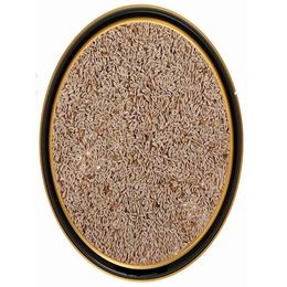 Heybeli Aktar Baharat 250 gr Karnıyarık Otu Tohumu