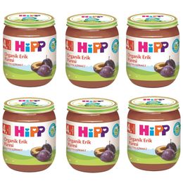 Hipp 6x125 gr Organik Erik Püresi