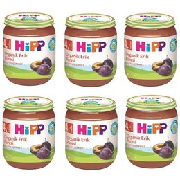 Hipp 6x125 gr Organik Erik Püresi