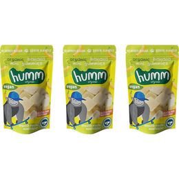 Humm 30 gr Organik Glutensiz Vegan Muzlu Mini Küpler