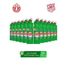 Hyper Hypo 12x750 ml Çam Tazeliği Ultra Kıvamlı Çamaşır Suyu