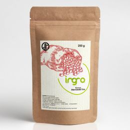 İngro 250 gr Glutensiz Kırmızı Mercimek Unu