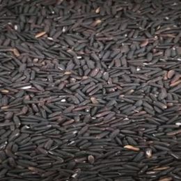 İngro 5 kg Glutensiz Siyah Pirinç