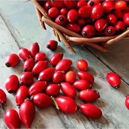 İpek Gurme 1 kg Taze Kuşburnu