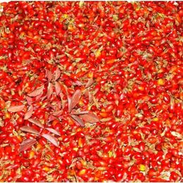 İpek Gurme 2 kg Taze Kuşburnu