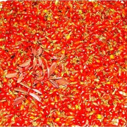 İpek Gurme 5 kg Taze Yaş Kusburnu