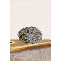 İpek Naturel 100 gr Açlık Otu