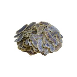 İpek Naturel 100 gr Açlık Otu