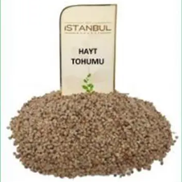 İstanbul Baharat 100 gr Hayt Tohumu