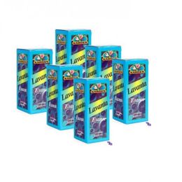 Karden 6x20 ml Lavanta Esansı Yağı