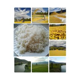 Kargı Yöresel Ürün Pazarı 5 kg Meşhur Yerli Kargı Pirinci