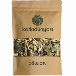 Katkı Dünyası 500 gr Oğul Otu