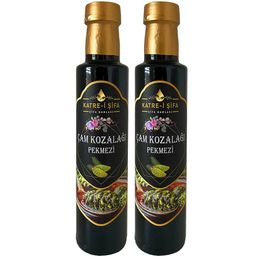 Katre-i Şifa 2x340 gr Orijinal Çam Kozalağı Pekmezi