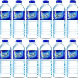 Kayın 500 ml Doğal Kaynak Suyu