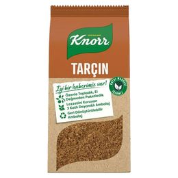 Knorr Tarçın 40gr