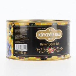 Köyceğiz Balı 1850 gr Teneke Bahar Çiçek Balı