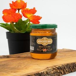 Köyceğiz Balı 250 gr Cam Kavanoz Bahar Çiçek Balı