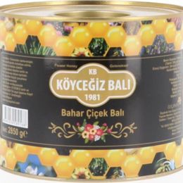Köyceğiz Balı 2850 gr Teneke Bahar Çiçek Balı