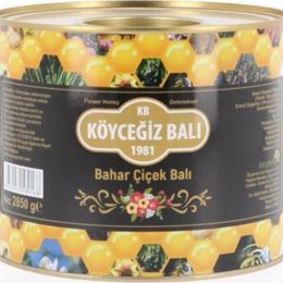Köyceğiz Balı 2850 gr Teneke Bahar Çiçek Balı