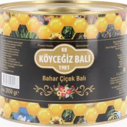 Köyceğiz Balı 2850 gr Teneke Bahar Çiçek Balı