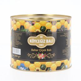 Köyceğiz Balı 2850 gr Teneke Bahar Çiçek Balı