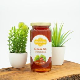 Köyceğiz Balı 330 gr Kestane Balı